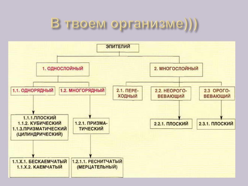 В твоем организме)))